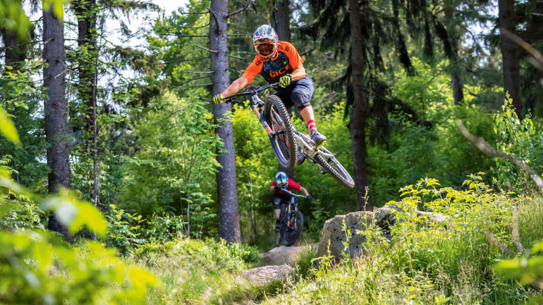 All-rounders: 8 freeriders in comparison