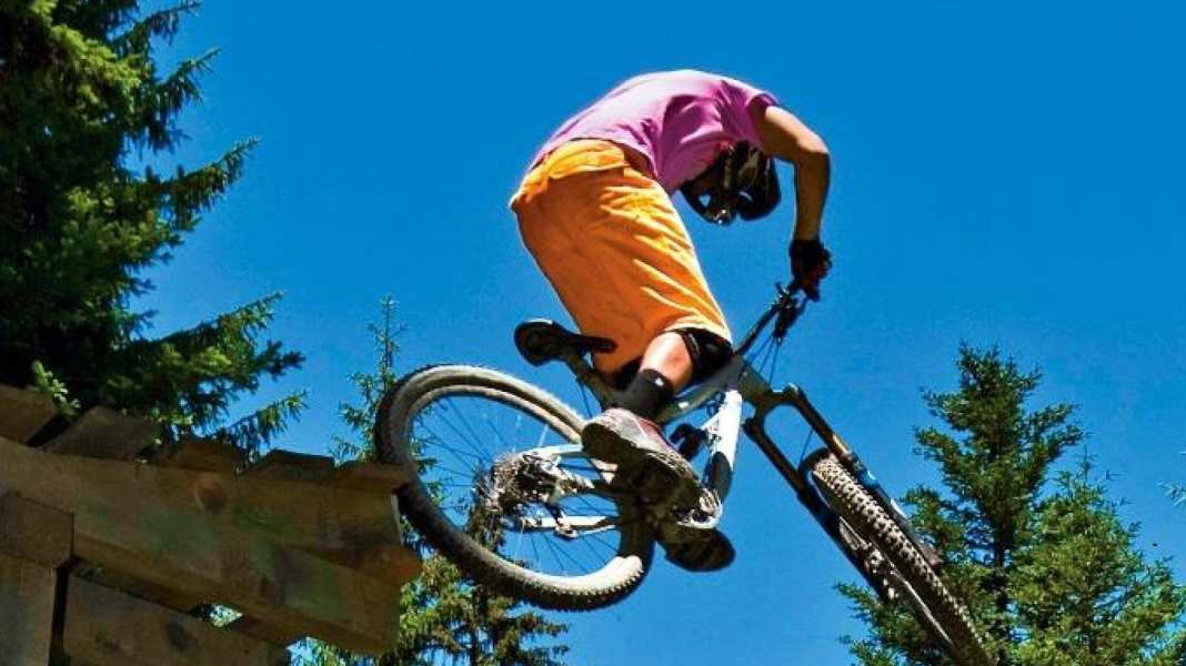 4 latecomers compare themselves to the Canyon Torque