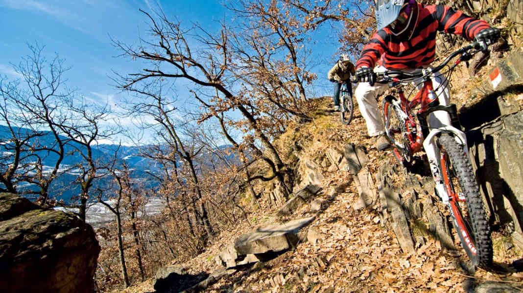 Trail kings
