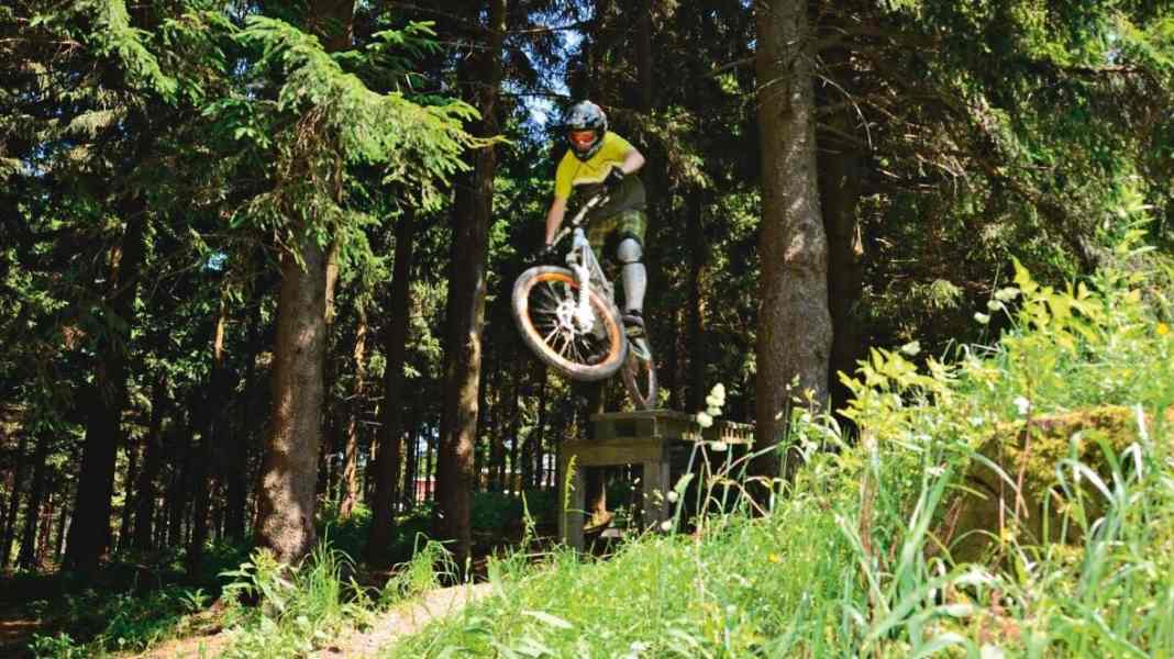 Bike park test: Wurzelpurzel