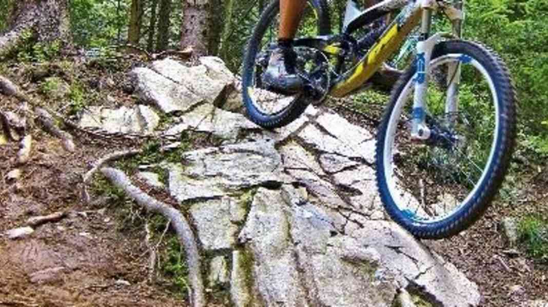 Bike park test: Focus: Downhill