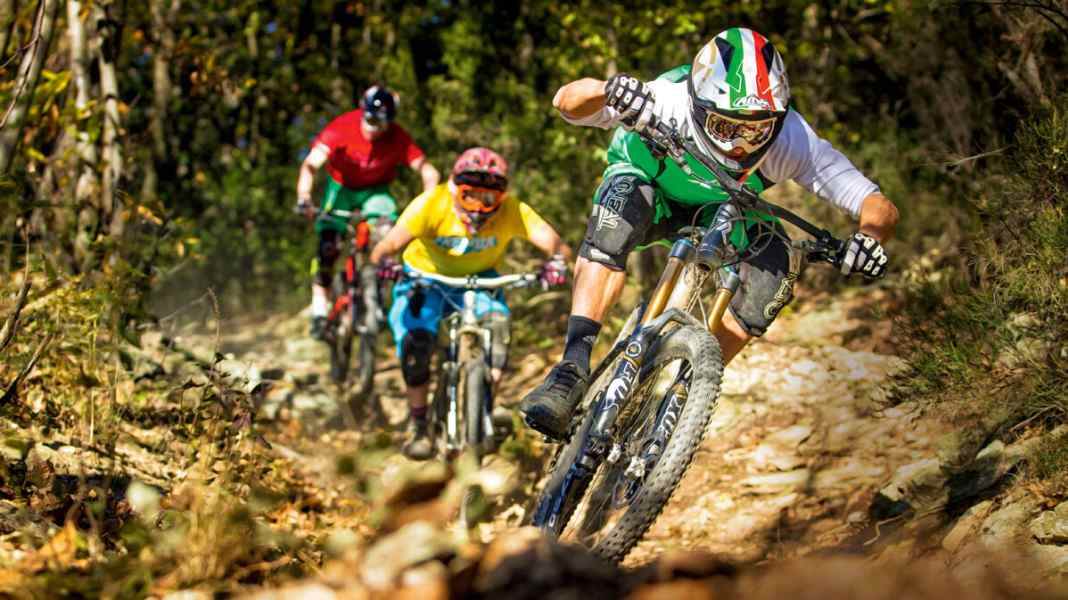9 mail-order bikes in a comparison test