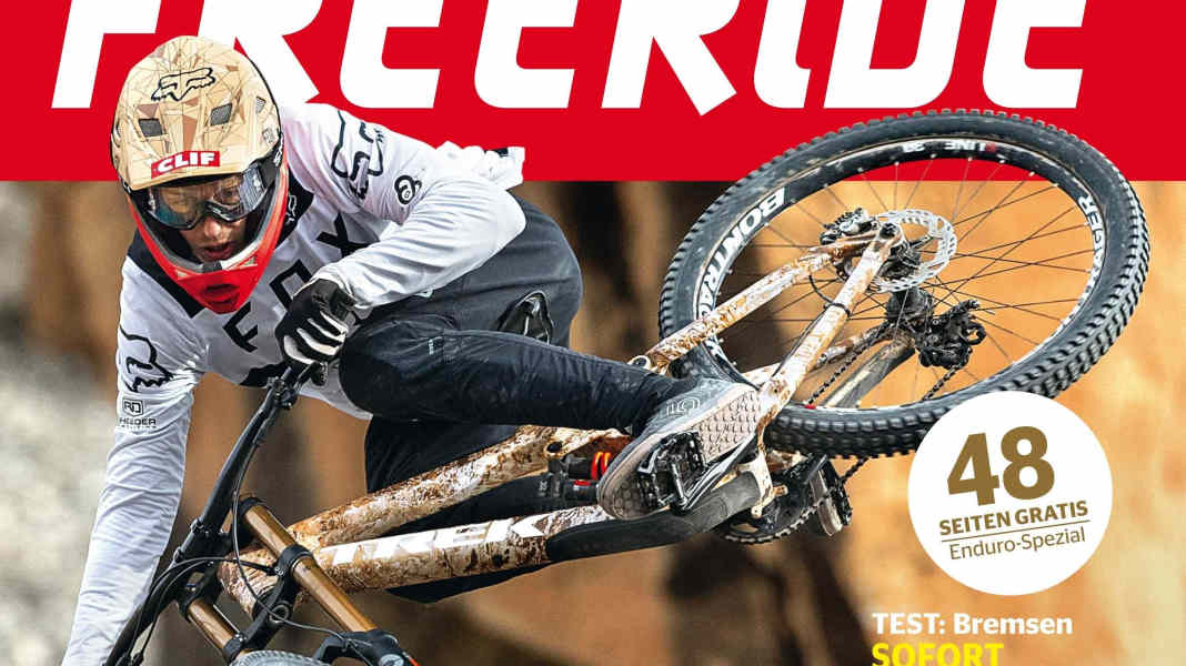 New at the kiosk: FREERIDE 2/19