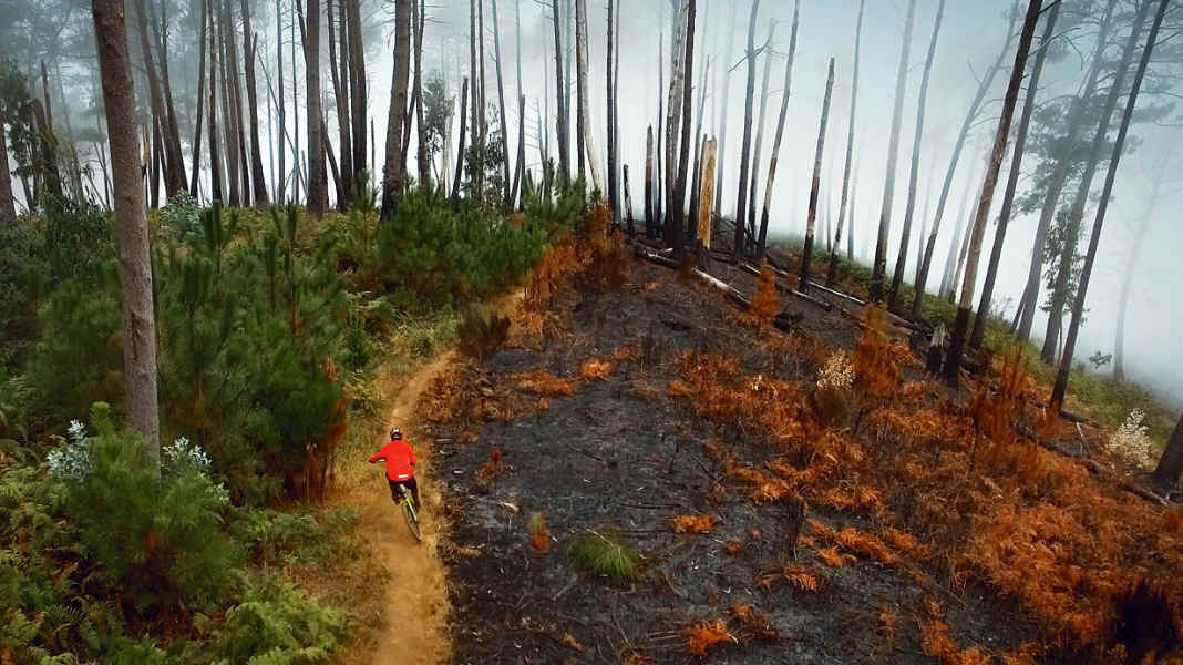 Glück pur: 5 Trails, die du fahren musst!
