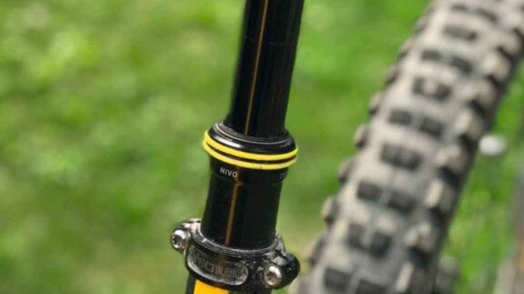 Reliable support: Vecnum Nivo