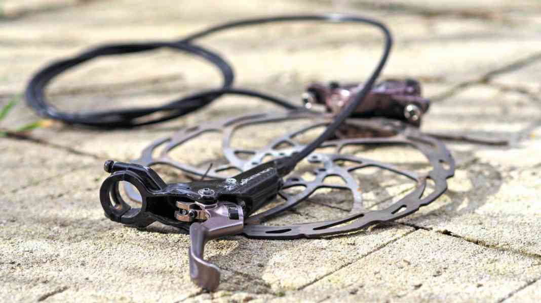 Old splendour: Hayes Dominion in the test