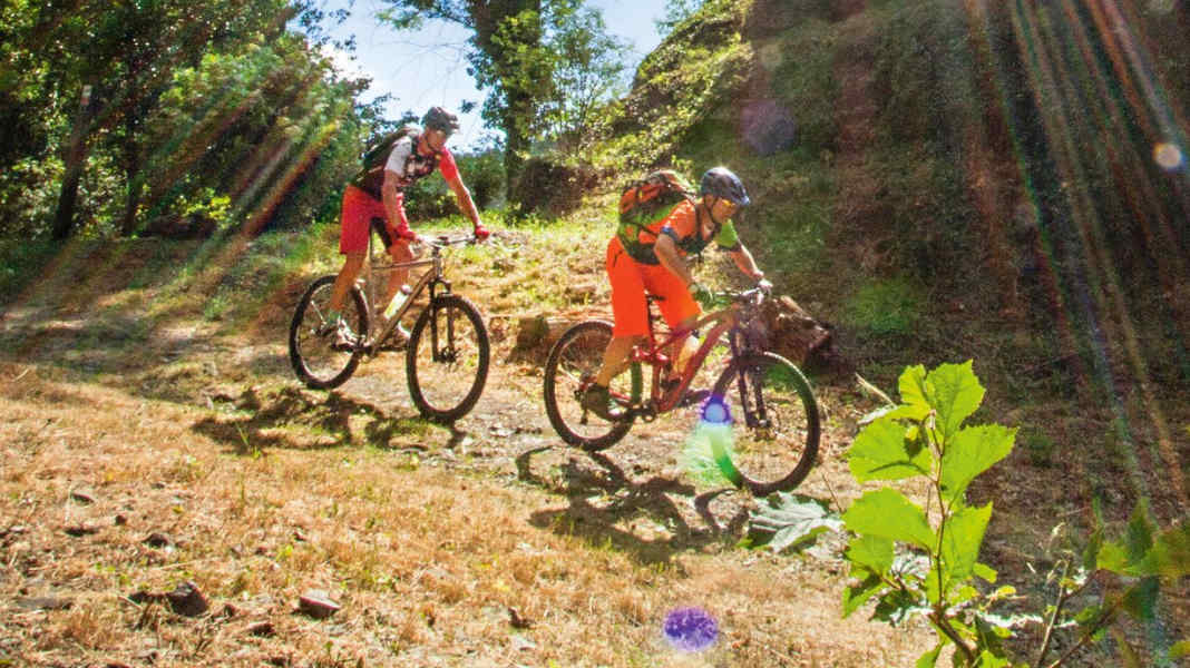 3 low mountain tours in the Westerwald for mountain bikers