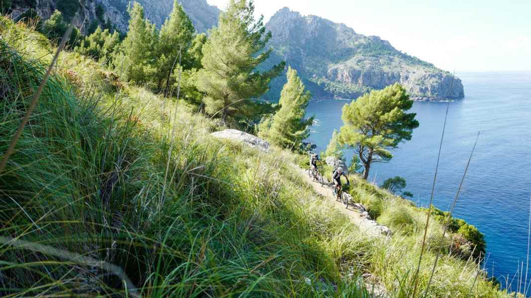Mountain bike trail tour on Mallorca, olé!