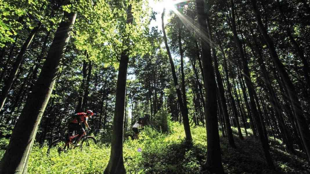 The most beautiful single trails in the Teutoburg Forest