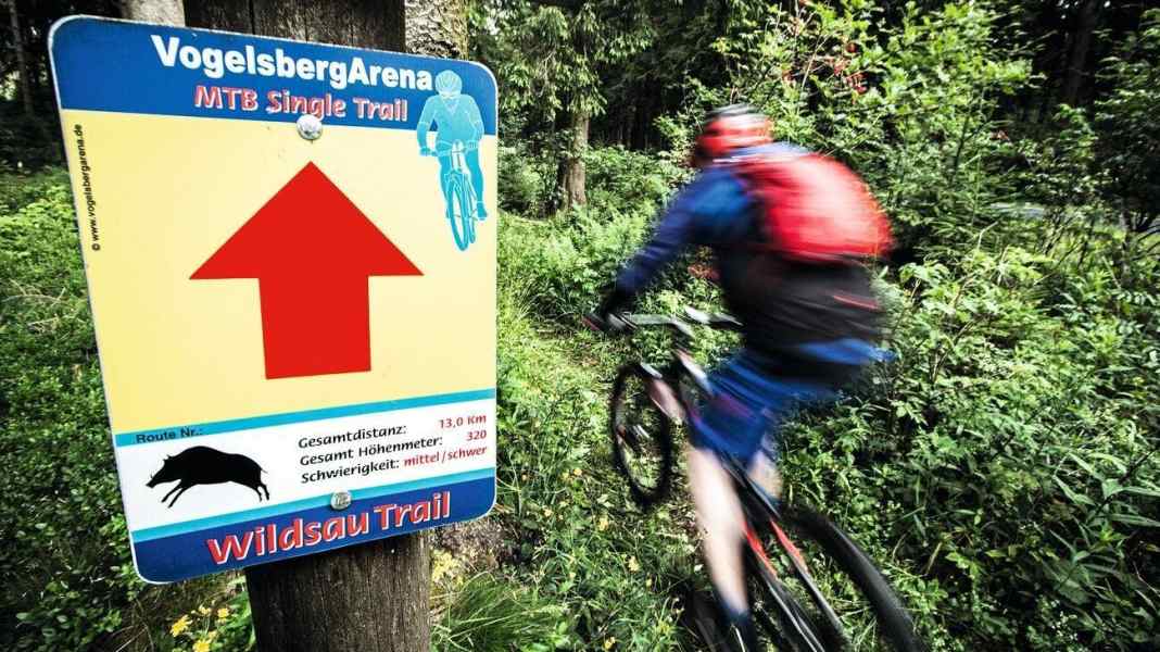 The 3 best MTB tours in the Vogelsberg mountains