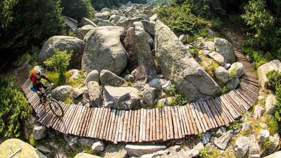 Wild MTB trails in the Vitosha Mountains