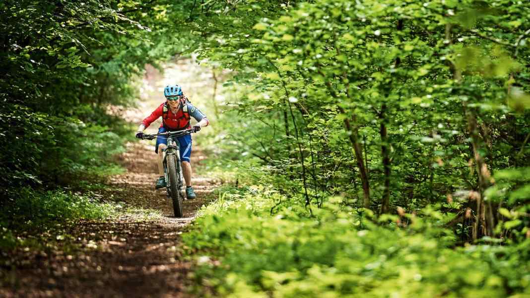 Spessart: MTB tour tips in Bad Orb