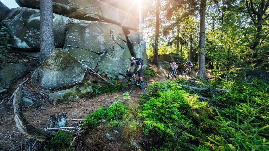 Die 14 besten Mountainbike-Trails in Deutschland