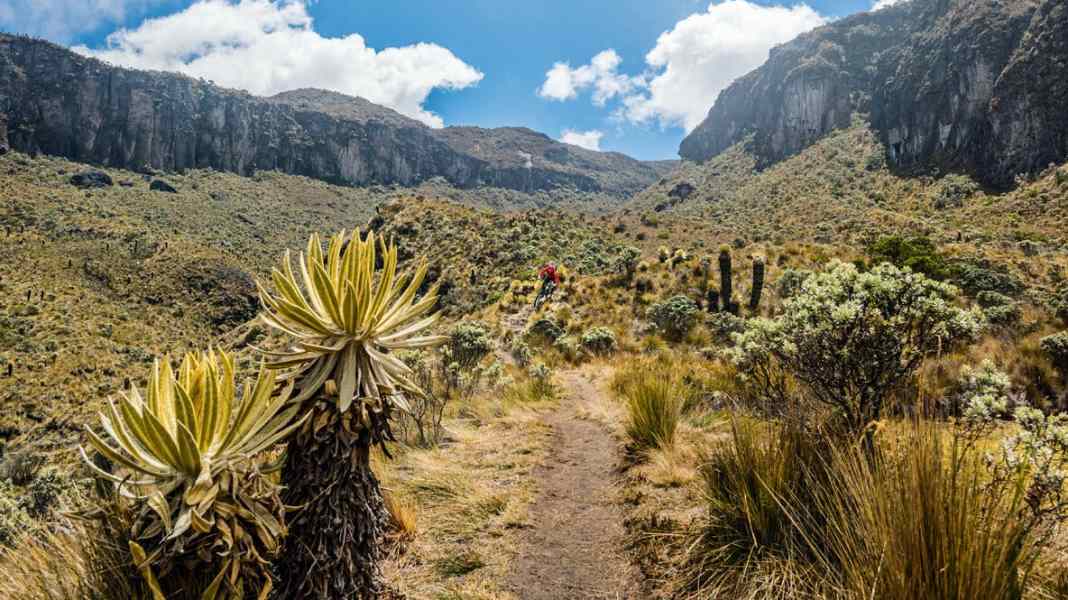 Kolumbien: Entdeckungs-Reise in Südamerika