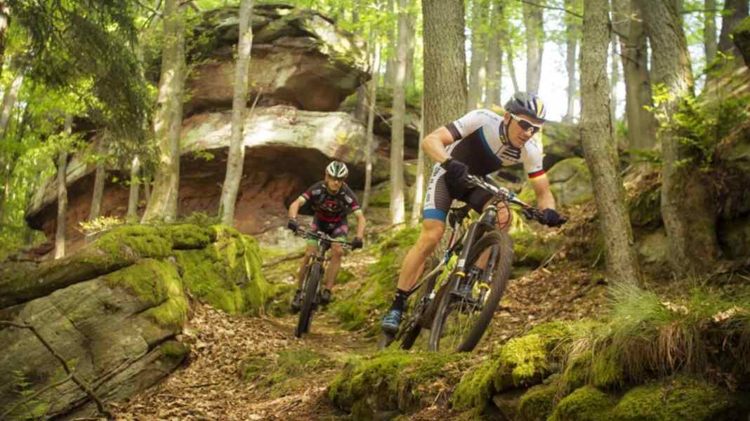 Professional area: Karl Platt's home trails