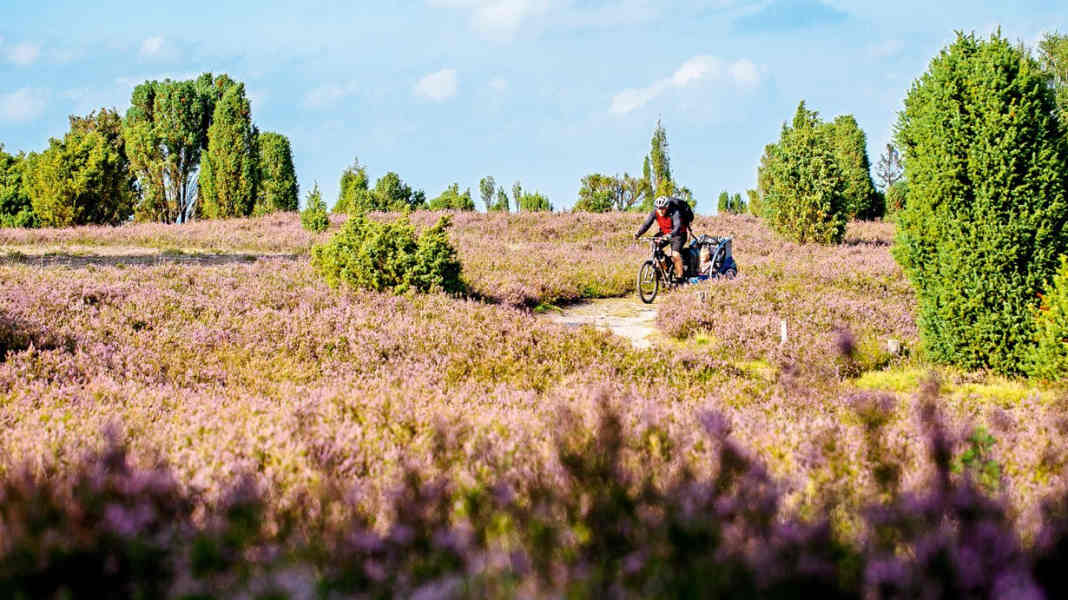 Auf die sanfte Tour im hohen Norden: Biken mit Kind