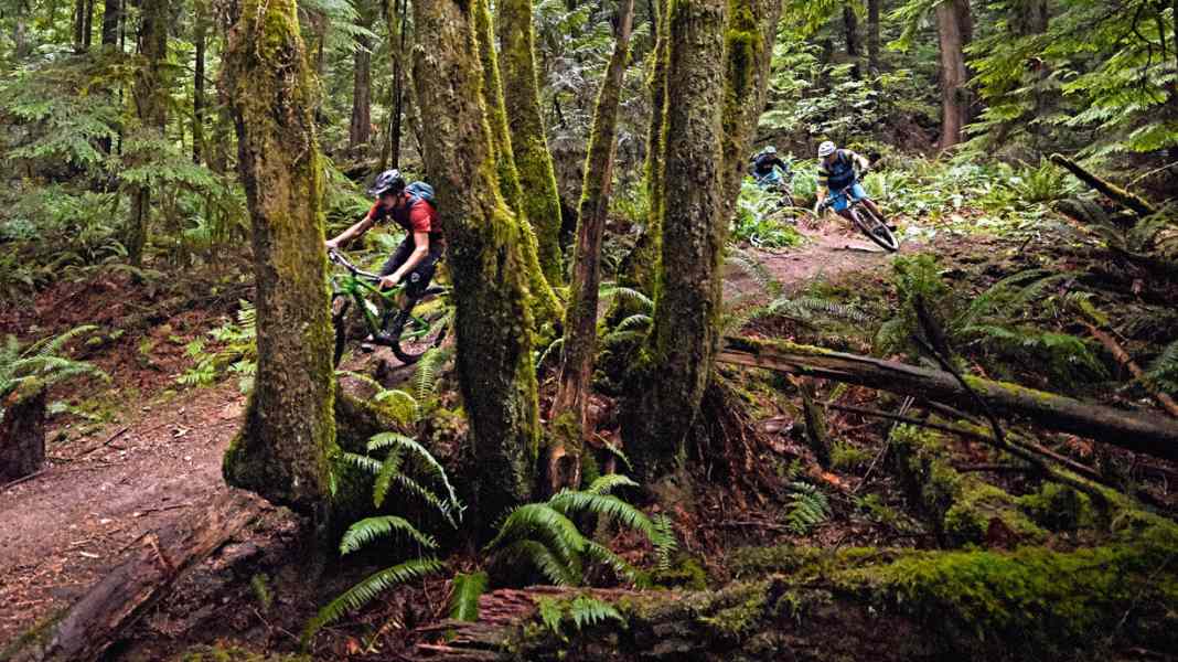 Im Reich der Superkurven: Mythos Northshore