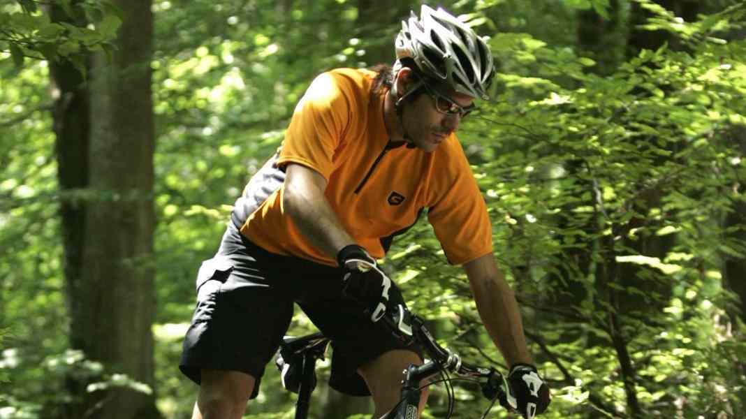 Transalpes All Mountain TI