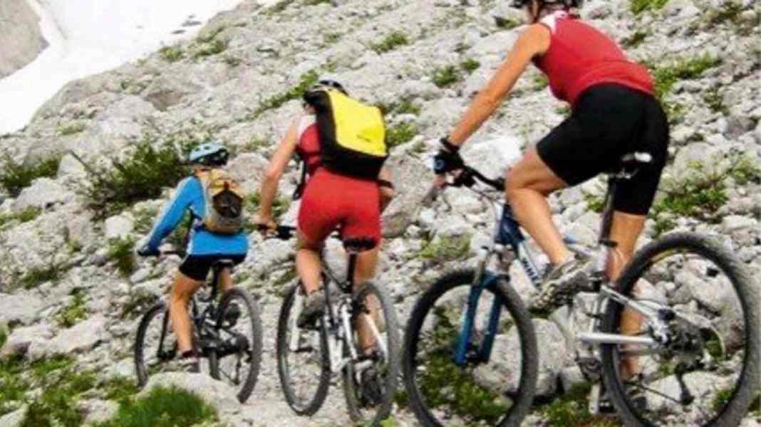 Frauenbikes: 8 mal XXS im Test