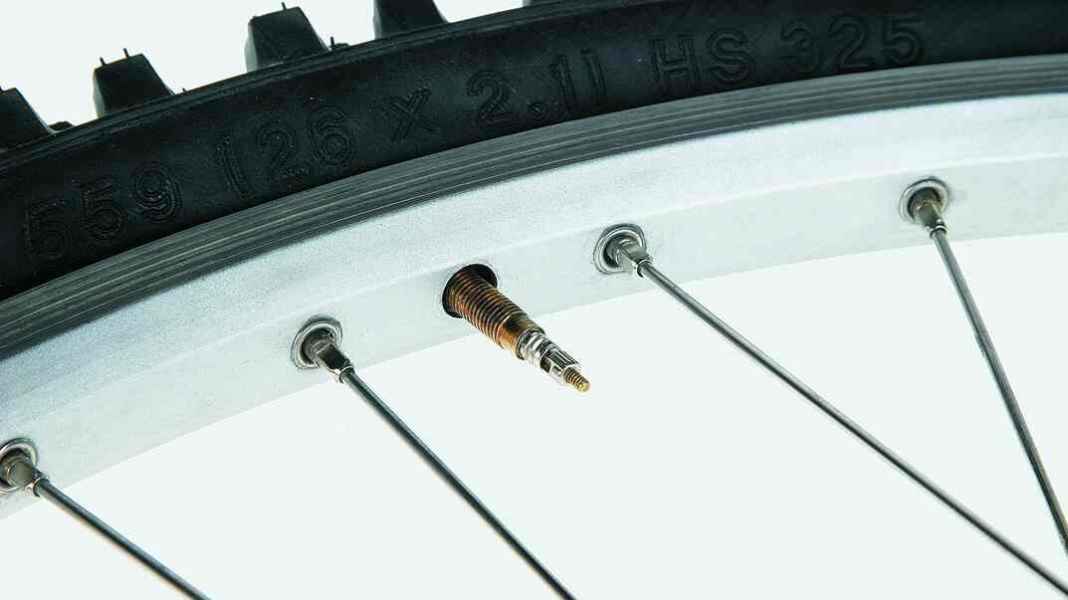 The right valve