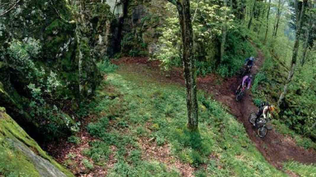 Baden-Württemberg: Biking in the Ländle