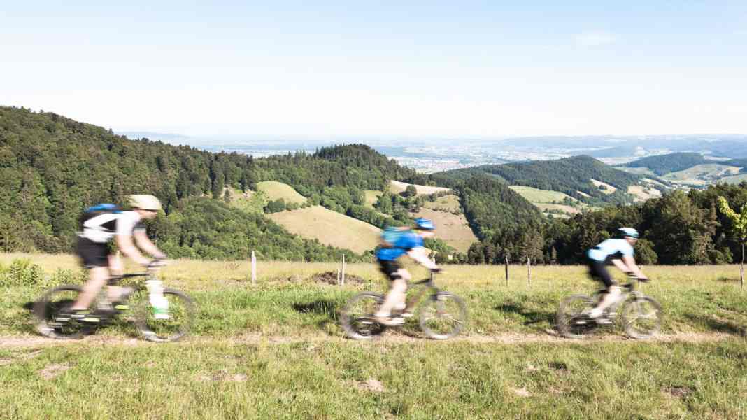 Germany: The 10 most beautiful single trail tours
