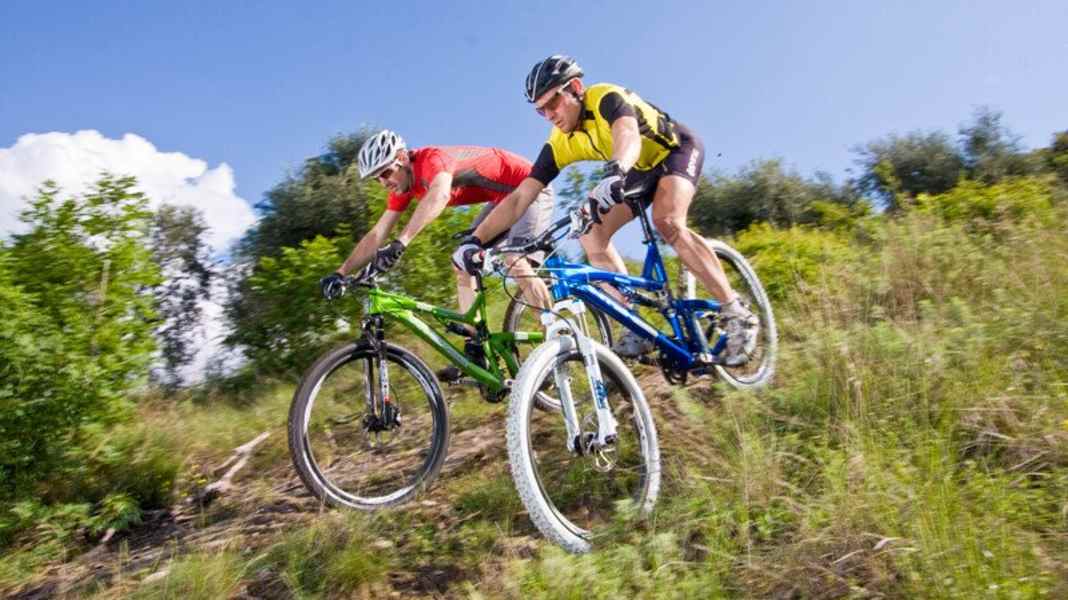 29 gegen 26 Zoll 2010