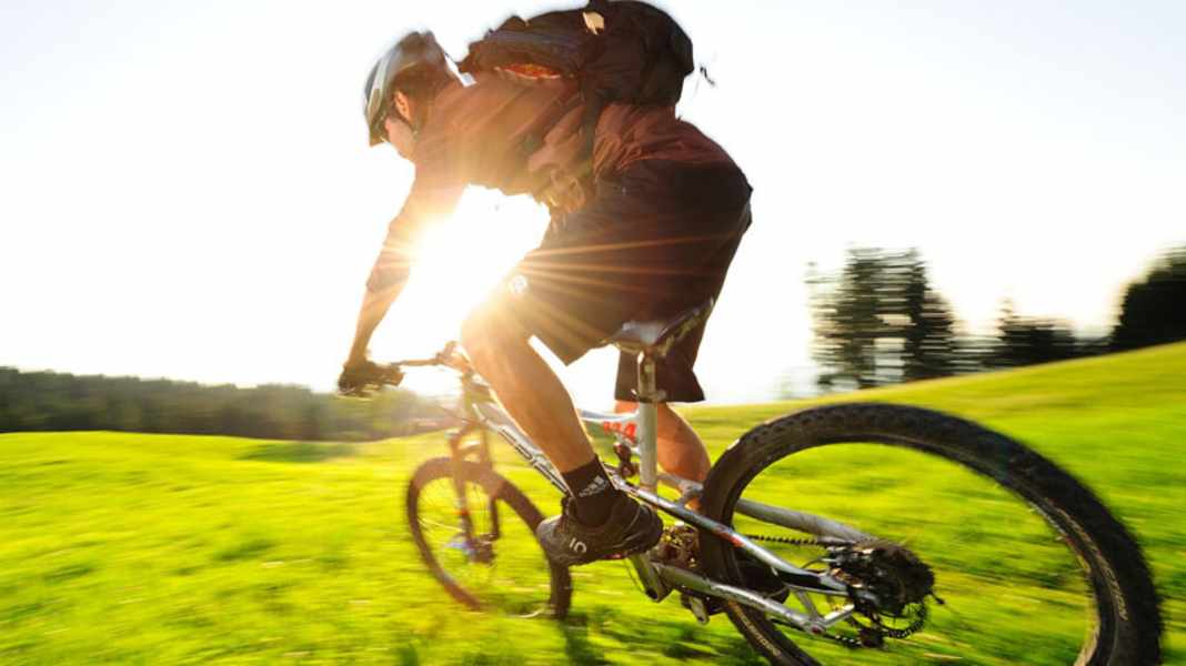 Lapierre Zesty 314 (Dauertest 2009)