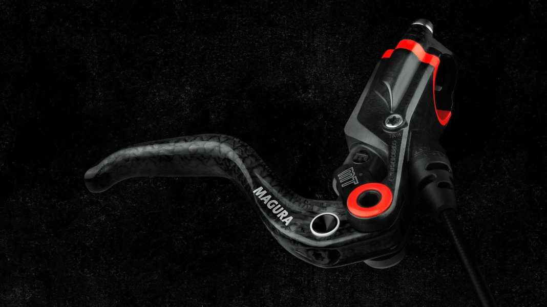 Everything about Magura's newcomers