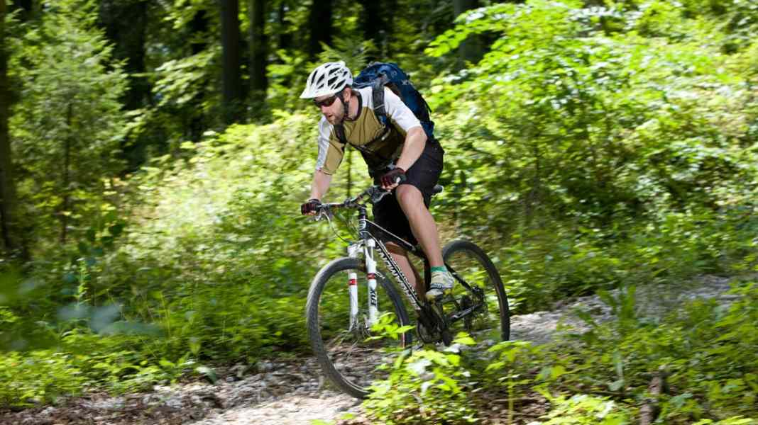 Endurance test: Bergamont Revox 9.1