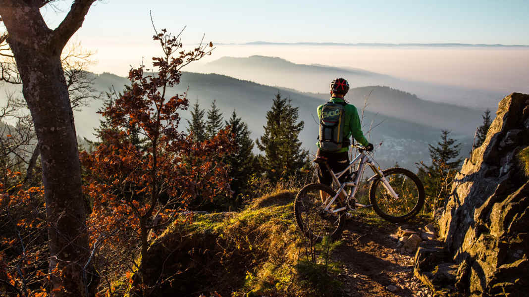 Bike-Reviere im Vergleich: Schwarzwald vs. Pfälzerwald