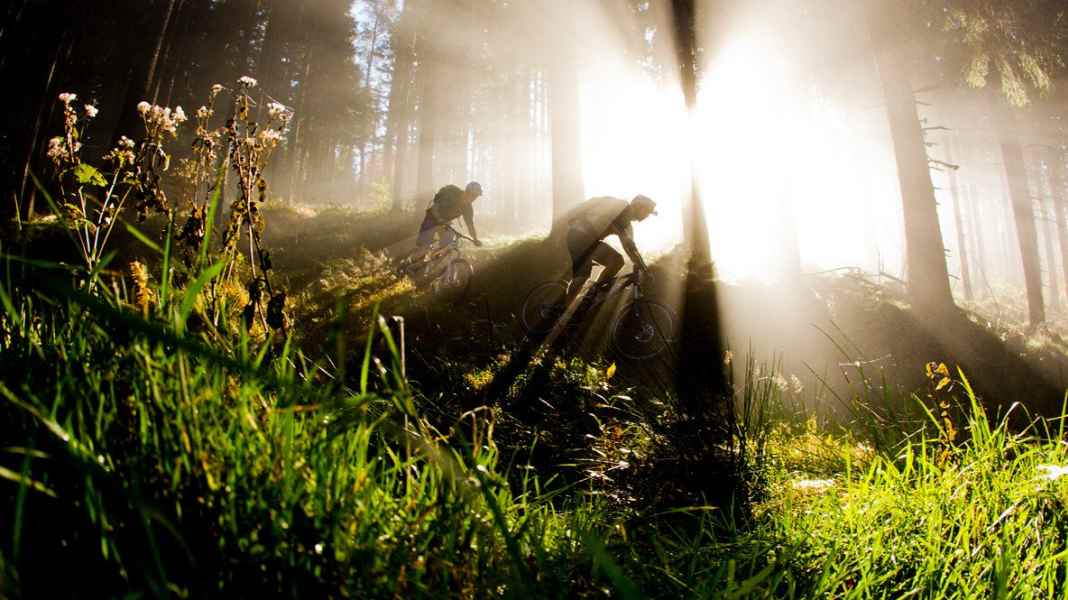Die besten Mountainbike-Trails und Spots im Schwarzwald