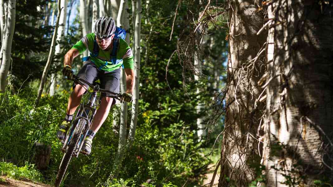 Giant novelties 2014: Complete range in 27.5 inch