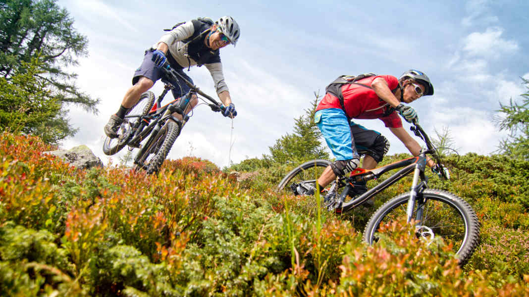 Comparison 26 vs 29 inch: Specialized Stumpjumper FSR Expert Carbon Evo