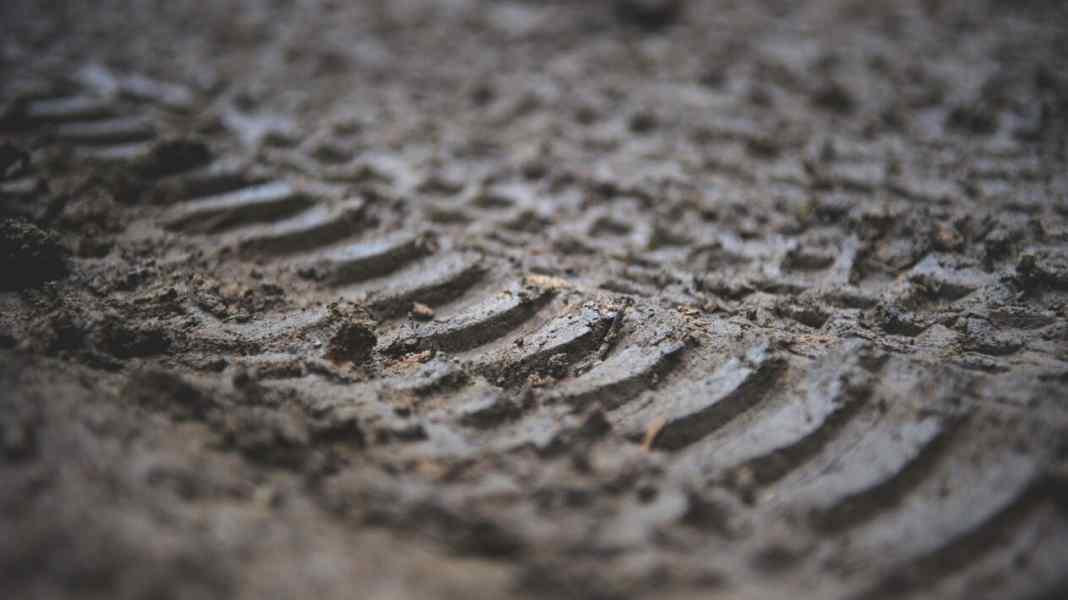 Tyres put to the test: Do the new tyres keep their promise?