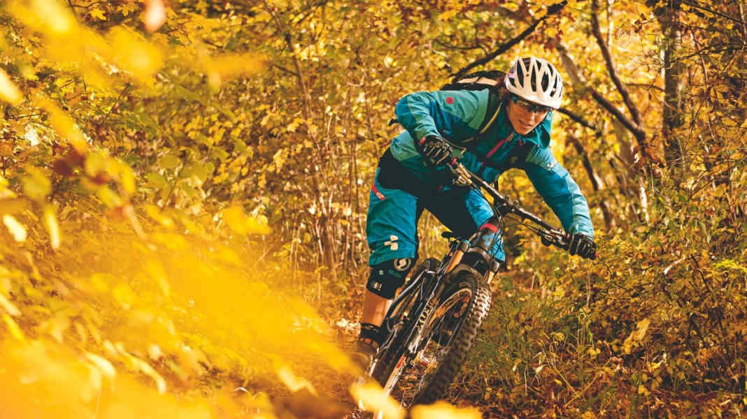 Autumn special: 35 parts in the test