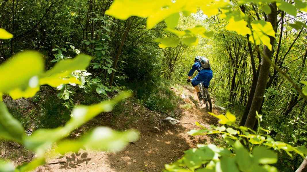 Anaconda-Trail: Flowiger Singletrail am Gardasee