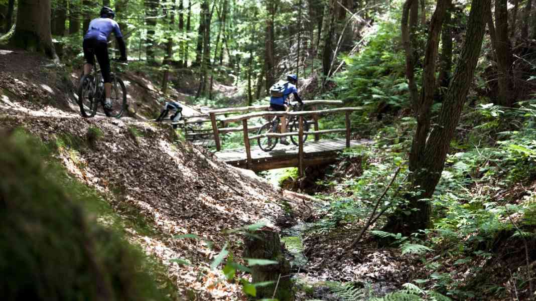 DIMB honours Pfälzerwald mountain bike park