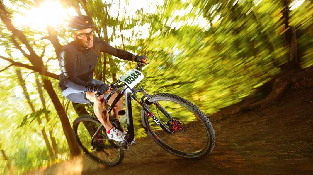 Lightweight noble tourer: Bergamont Fastlane