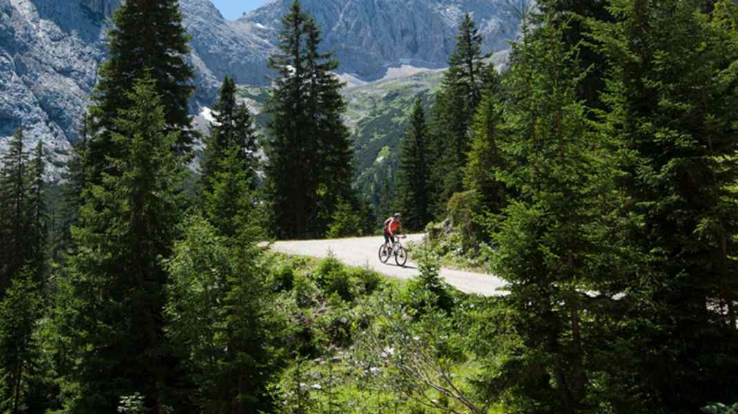 Where you can bike in Austria with a clear conscience