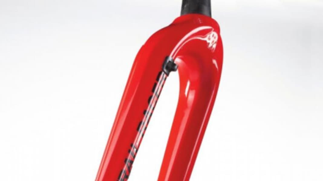 Parallelogram fork from Lauf in the test