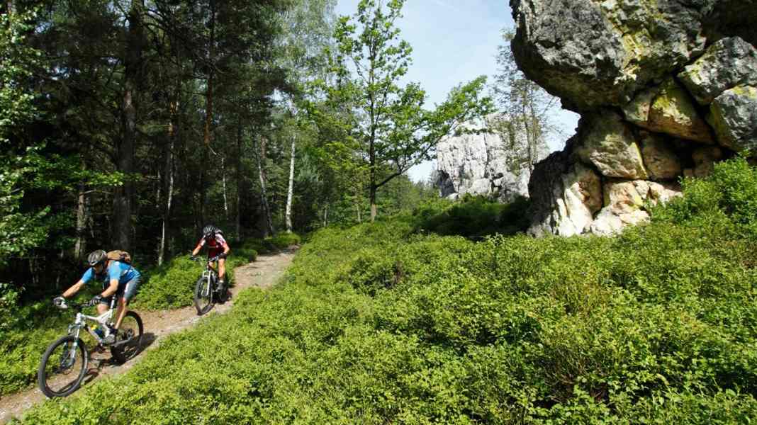 Final judgement: Cycling permitted on forest paths