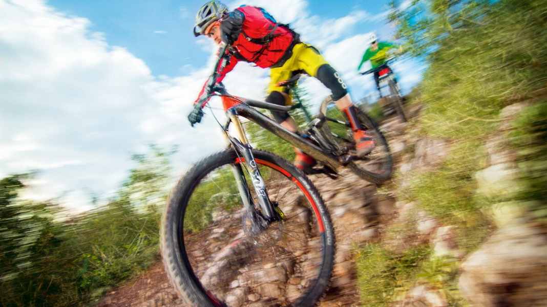 29 inch: All mountain and cross country forks in the test