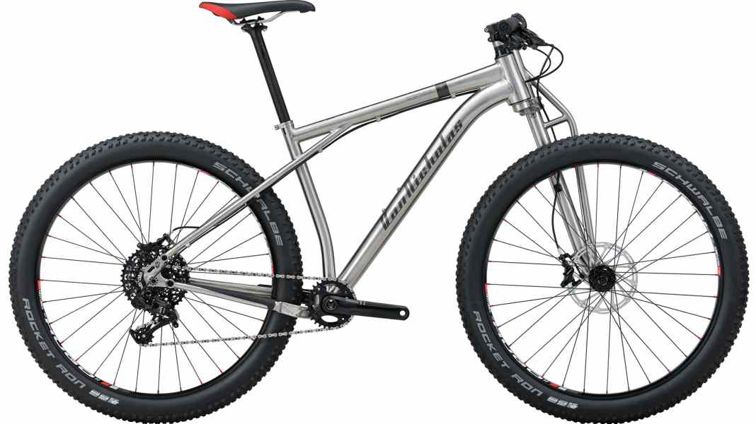 Titan-Bike mit Plusreifen und einarmiger Titangabel
