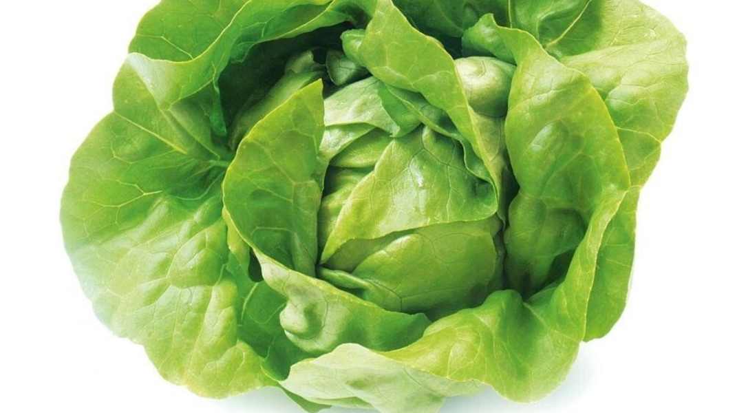 Die 10 besten Tipps gegen den Winterspeck