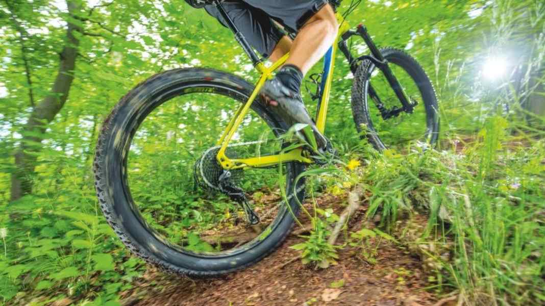 Plus-Reifen: Bessere Traktion, mehr Grip beim Biken