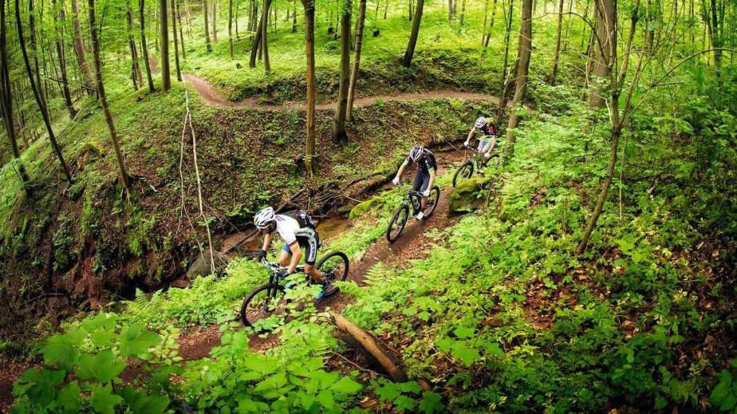 Die 7 längsten MTB-Trails Deutschlands [GPS-Daten]