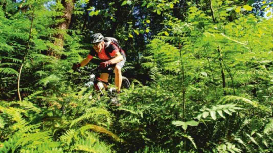 Bike-Spots im Pott: Die Haard