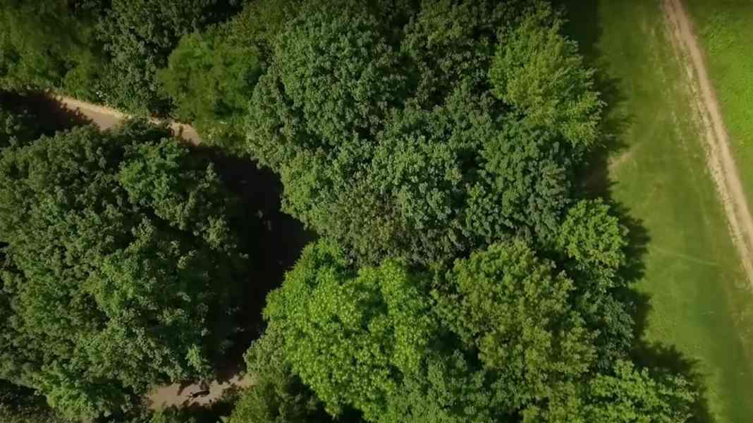 Enduro am Teufelsberg im Berliner Grunewald [Video]