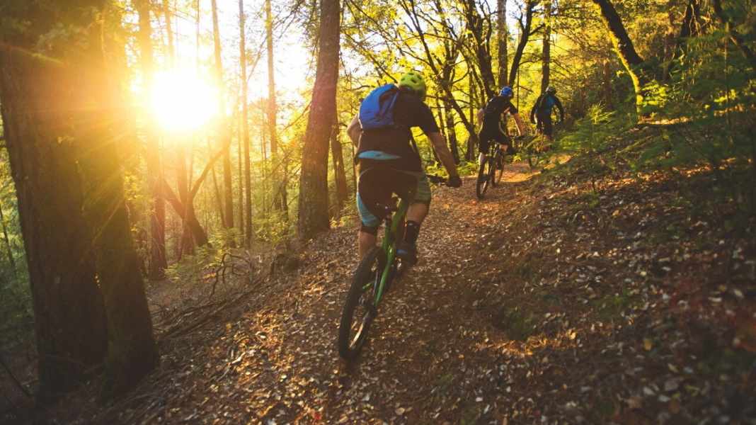 Tschechien: Neuer Trailpark in Lipno